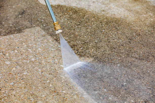 Animal Enclosure Cleaning in Terry, MS
